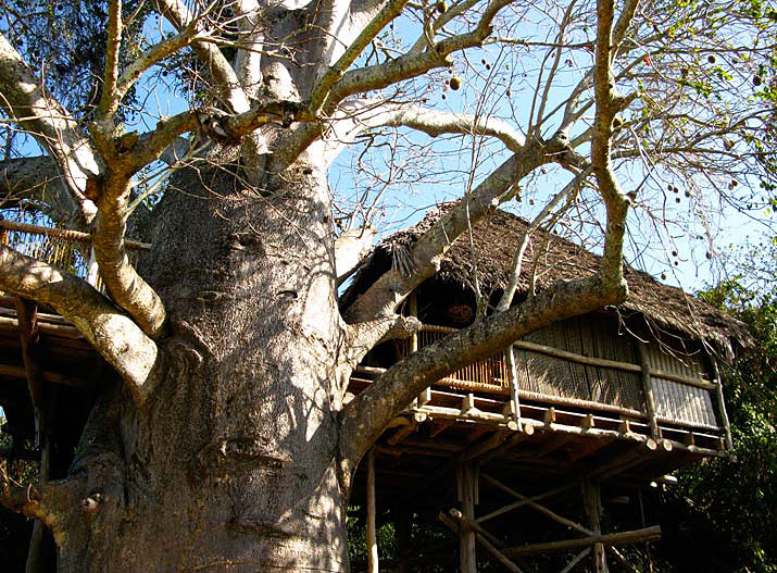 Chole Mjini Lodge